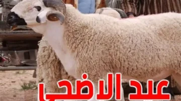 موعد عيد الأضحى 2026 وعدد أيام الإجازة المتوقعة للموظفين في القطاعات المختلفة